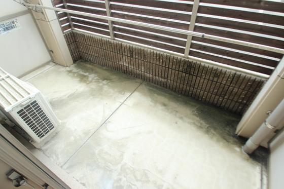 ロフティ五日市