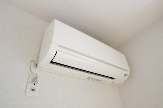 ドリームフォレストS