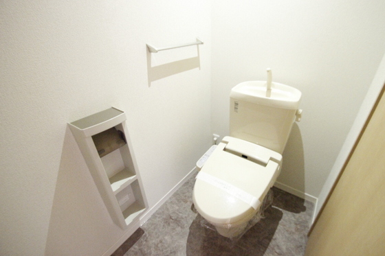 ドリームフォレストS