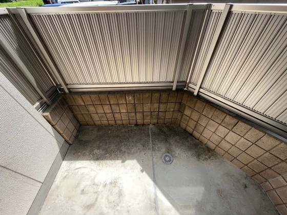 ドリームフォレストS