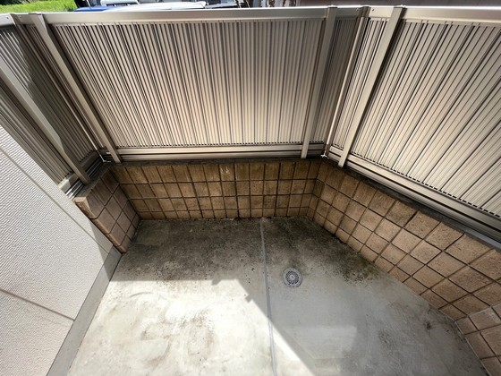 ドリームフォレストS