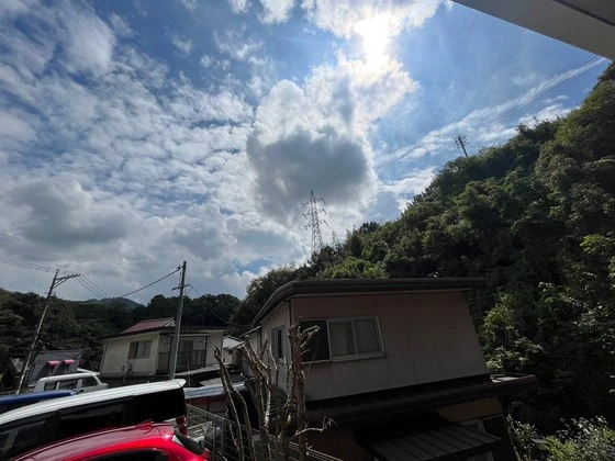 ドリームフォレストS