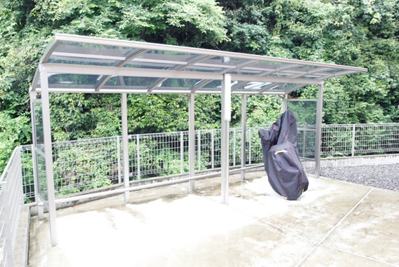 ドリームフォレストS