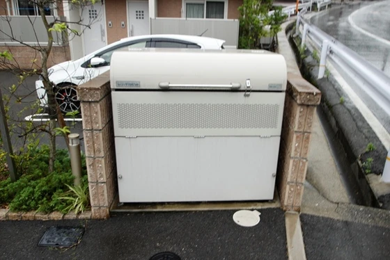 ドリームフォレストS