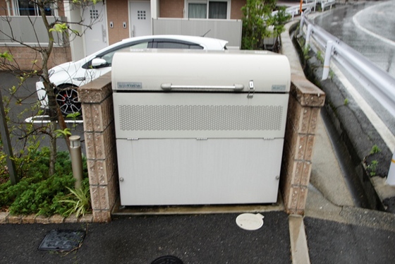 ドリームフォレストS