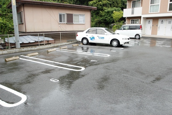 ドリームフォレストS