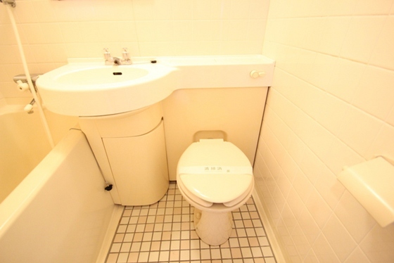 ダイアパレス昭和町