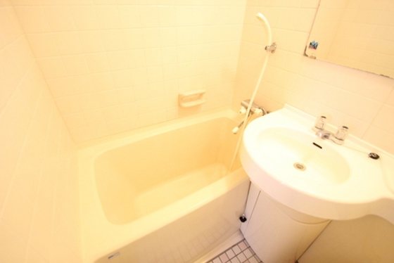 ダイアパレス昭和町