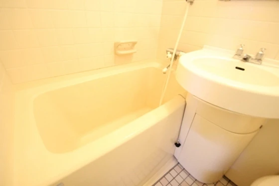 ダイアパレス昭和町