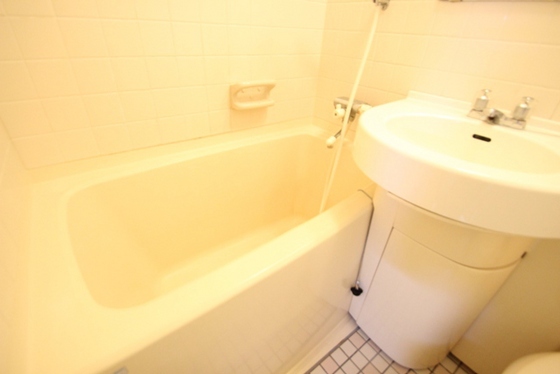 ダイアパレス昭和町