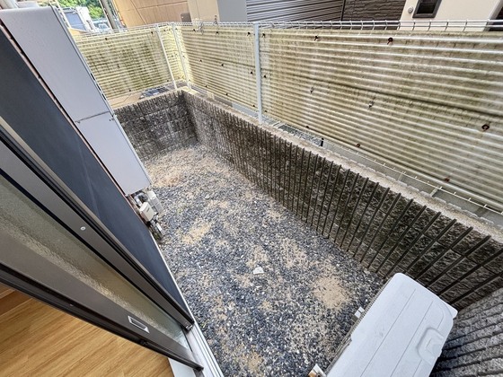 セラサス・コリス