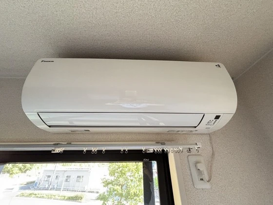 セラサス・コリス