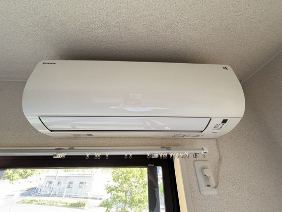 セラサス・コリス