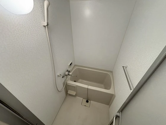 セラサス・コリス