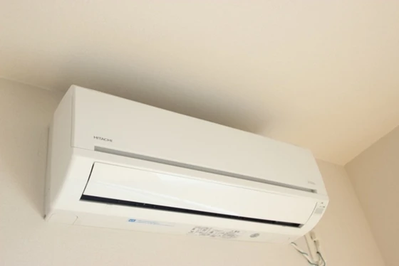 オオコウコーポラス