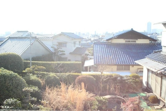 オオコウコーポラス