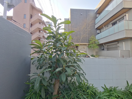 ベルエール牛田