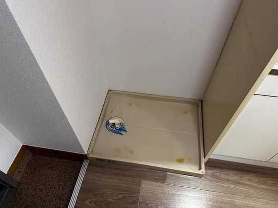 ステイタスオブ大野