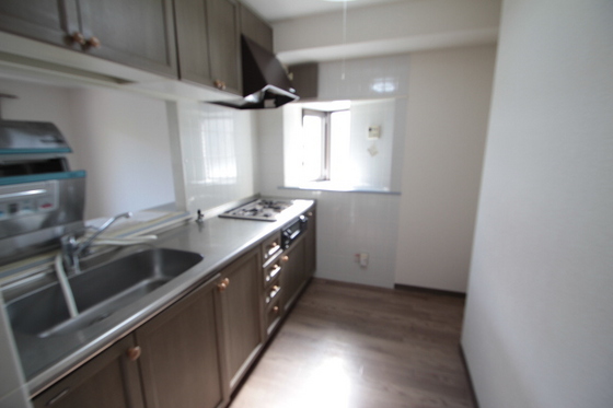 ダイアパレス下河内