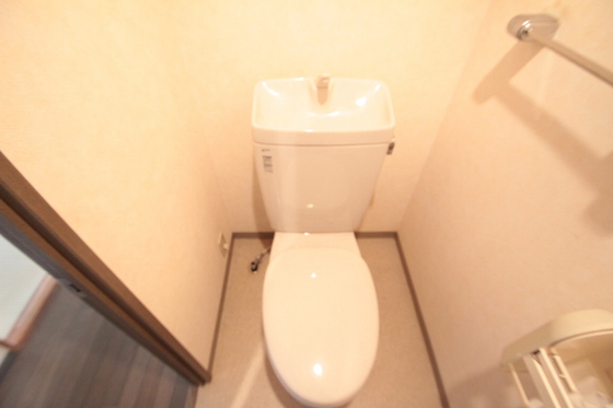 ダイアパレス下河内