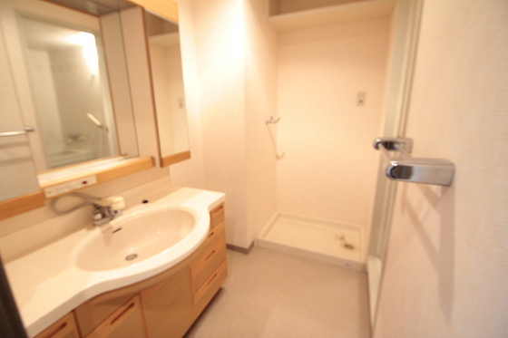 ダイアパレス下河内