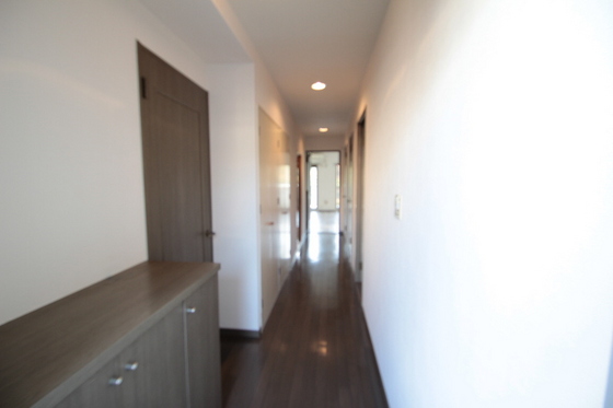 ダイアパレス下河内