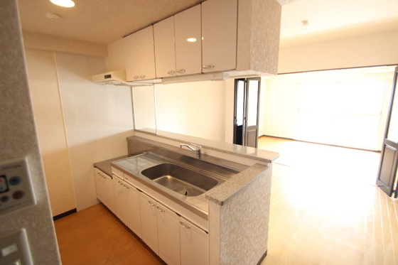 シビックコアエム