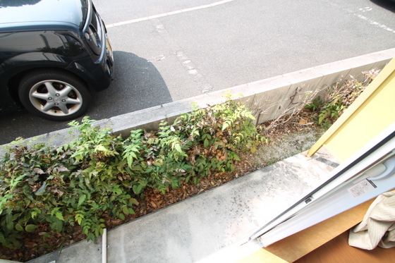 レオパレス金剛寺