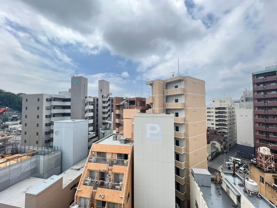 ダイアパレス比治山パークサイド