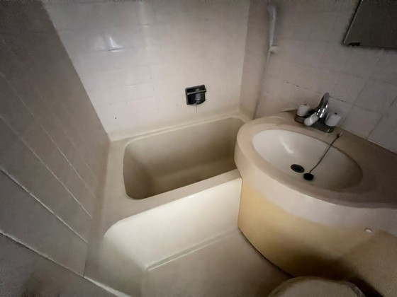 ダイアパレス比治山パークサイド