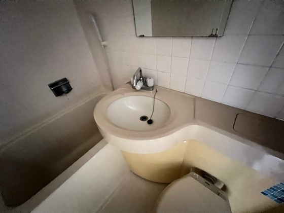 ダイアパレス比治山パークサイド