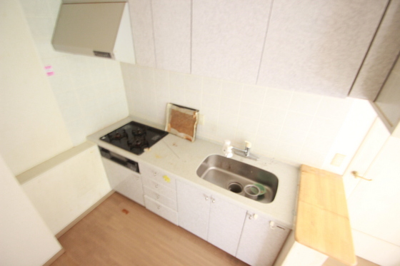 ライオンズマンション比治山公園