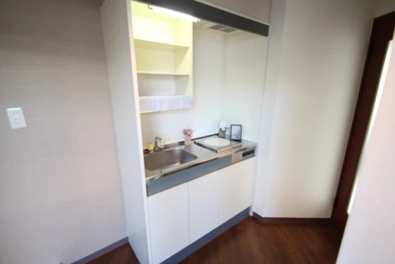 テルセーロパートナーマンション