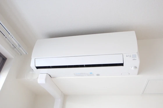 マンハイムドリット