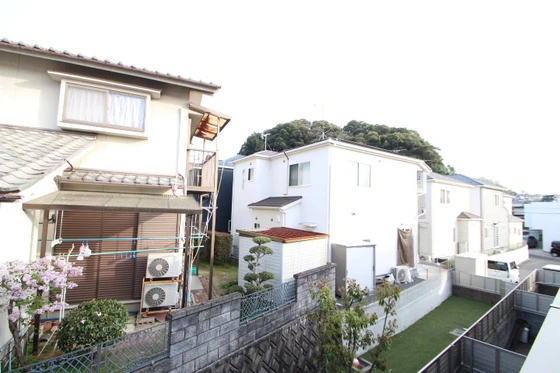 マンハイムドリット