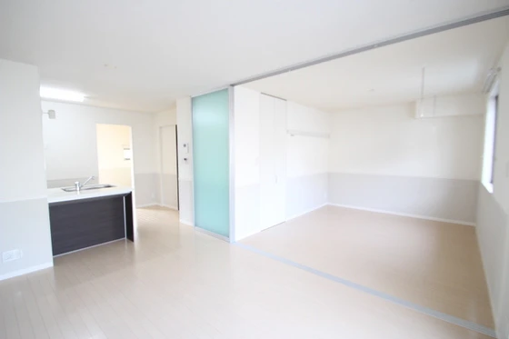 マンハイムドリット