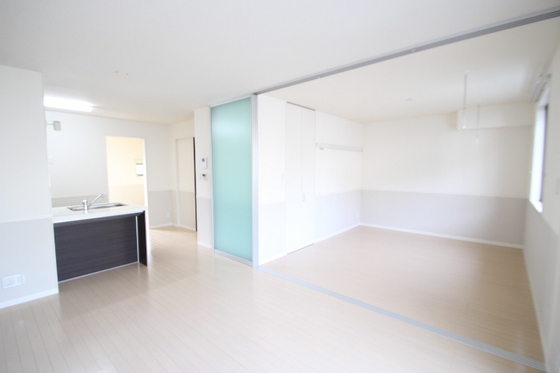 マンハイムドリット