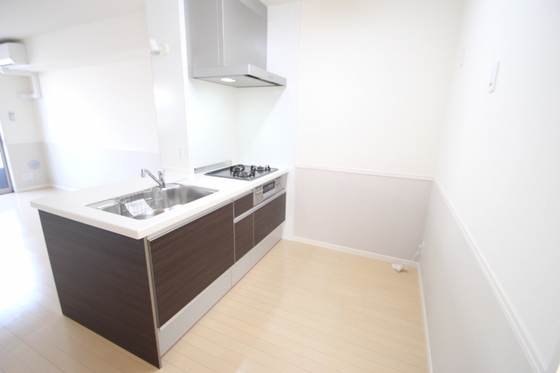 マンハイムドリット