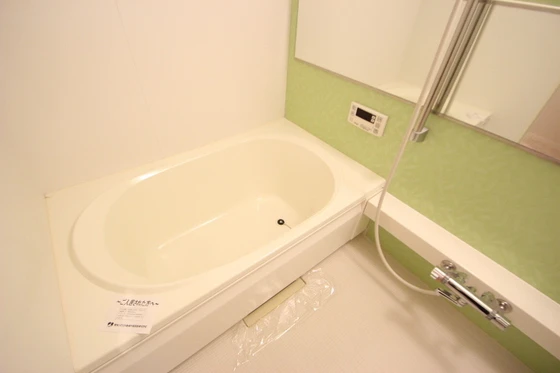 マンハイムドリット