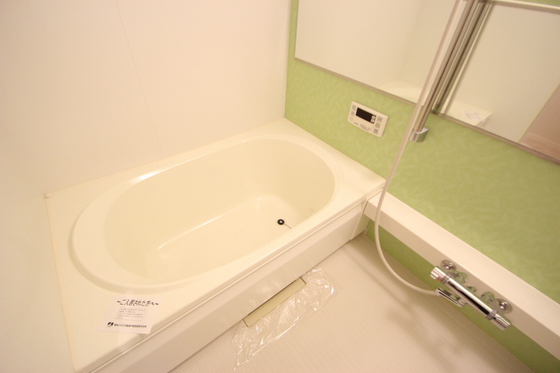 マンハイムドリット