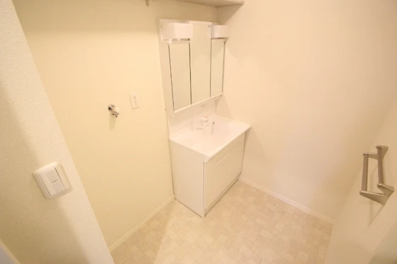 マンハイムドリット