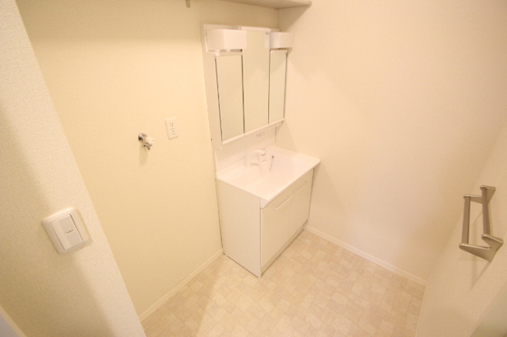 マンハイムドリット