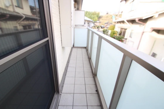 マンハイムドリット