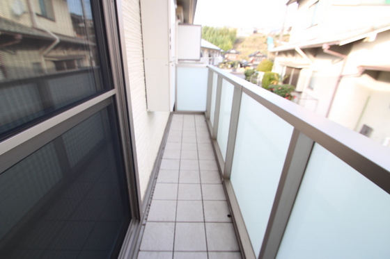 マンハイムドリット