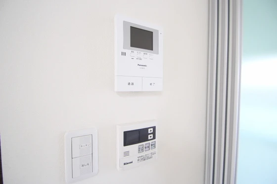 マンハイムドリット