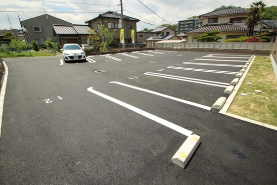 マンハイムドリット