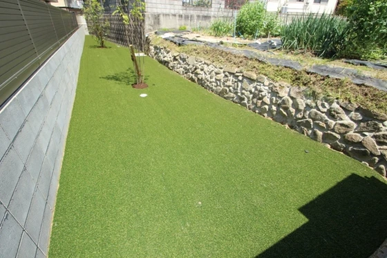 マンハイムドリット