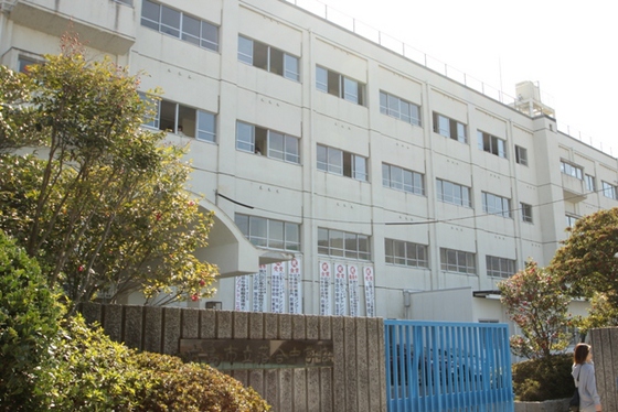 マンハイムドリット