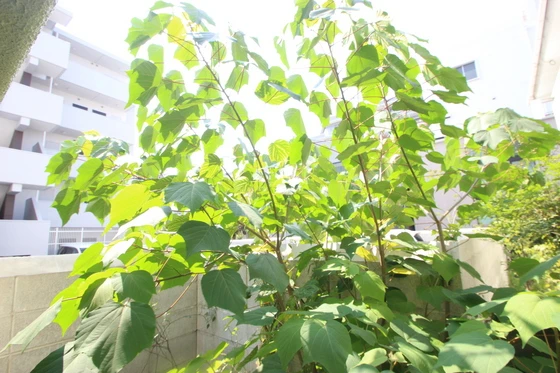 エステート三滝