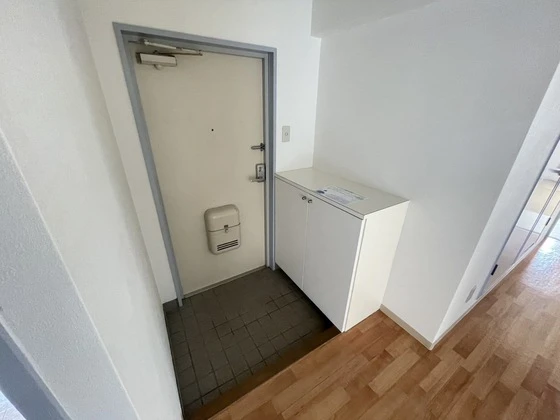 ロイヤルヨシソウ